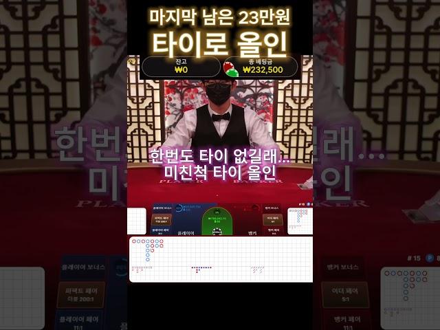 [바카라] 남은 23만원 타이에 올인하는 미친놈 입니다