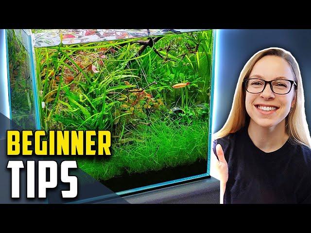 10 Easy Tricks to Making a Planted Tank Look Amazing