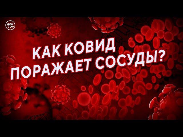 Как ковид поражает сосуды