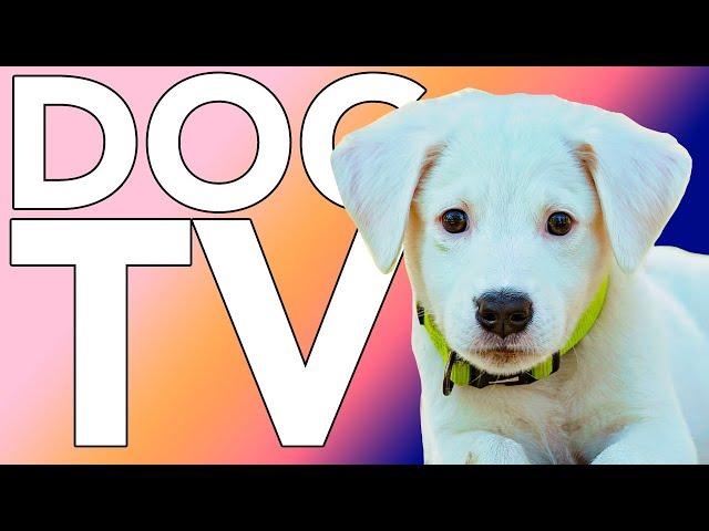 Petflix for Dogs! Fun & Entertaining TV for Dogs to Watch! With Music!