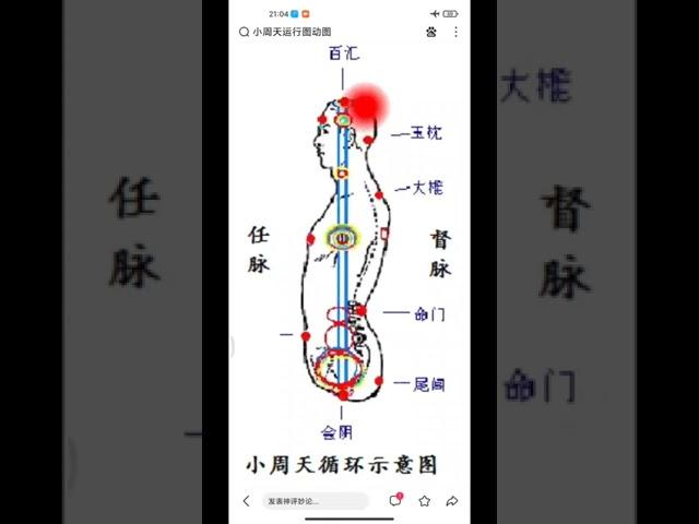 体道 小周天再体验（任督二脉） 一