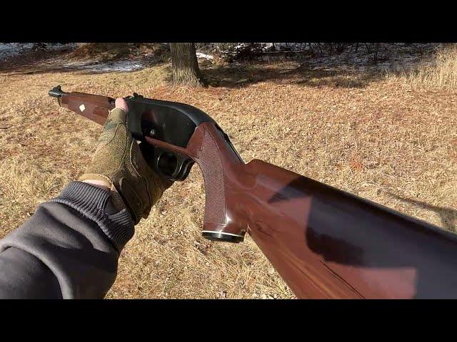 Remington Nylon 66 POV firing