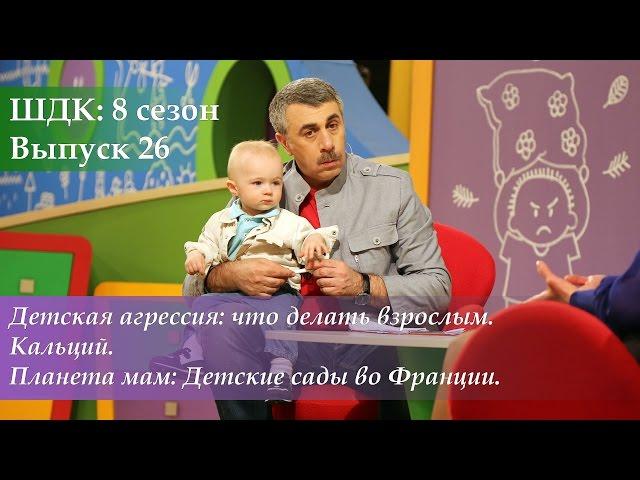 ШДК: Детская агрессия: что делать взрослым. Кальций. Детские сады во Франции - Доктор Комаровский