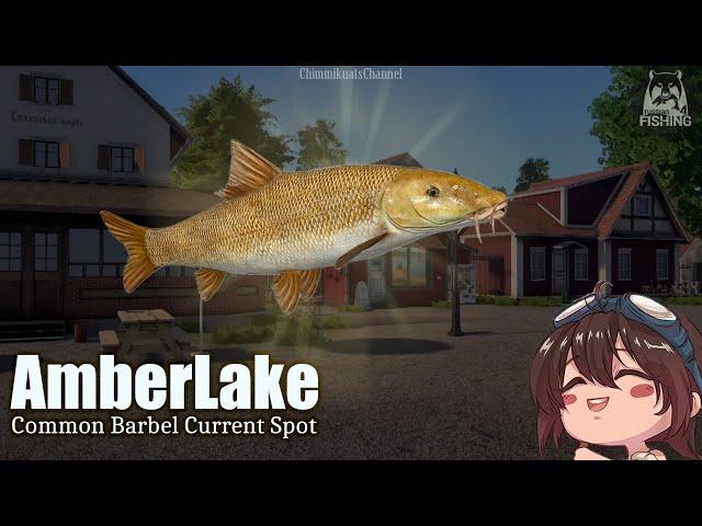 (RussianFishing4) Amber Lake - Current Common Barbel Spot ft. Common, Mirror, & Frame-Sided Carp