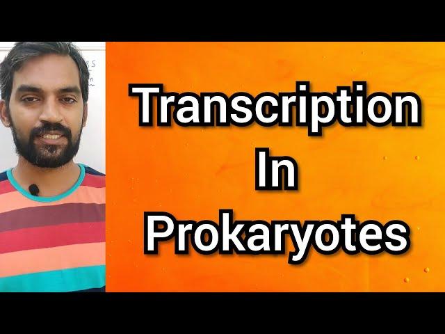 Transcription in prokaryotes | Tamil