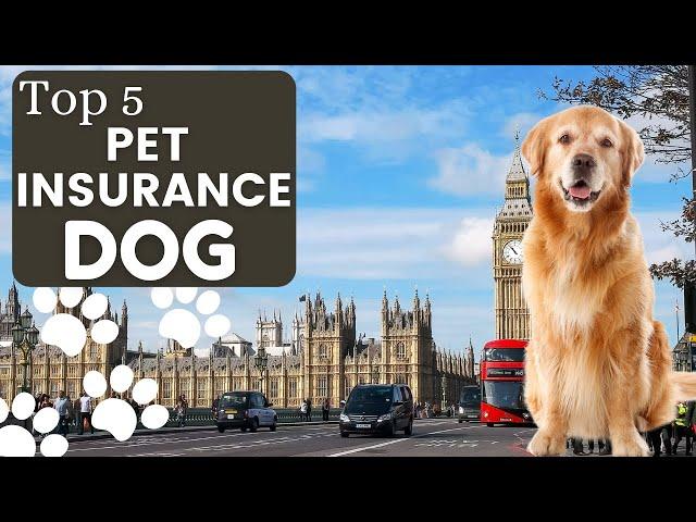 Best Pet Insurance For Dogs  | Top 5 Pet Health Insurance in UK - Insurance