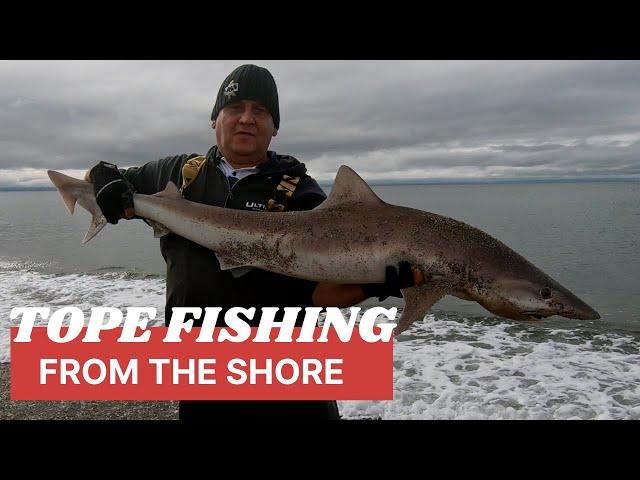 Tope fishing - north wales sea fishing.