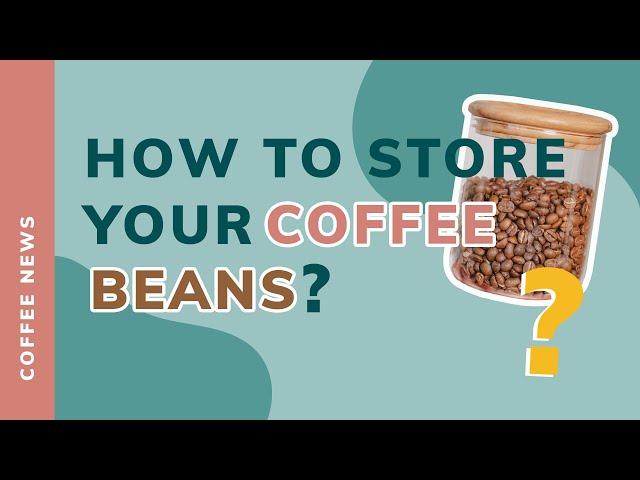 HOW TO STORE YOUR COFFEE BEANS?