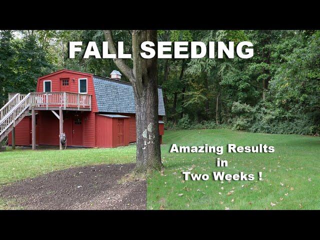 Jonathan Green Black Beauty, Fall Seeding - Great Results in Two Weeks - How To Seed your Lawn