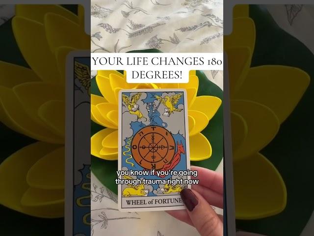 YOUR LIFE CHANGES 180 DEGREES!!