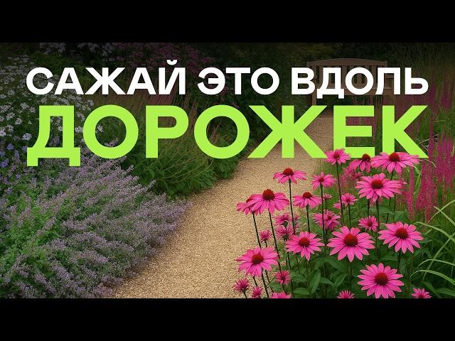 Я Бы Никогда Не Посадила Эти 5 Растений Вдоль Дорожек (невозможно ходить!)