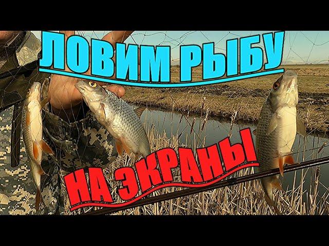 РЫБАЛКА НА ЭКРАНЫ-ТЕЛЕВИЗОРЫ. Наловили кучу рыбы.