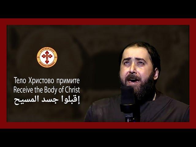 Receive the Body of Christ | Тело Христово примите