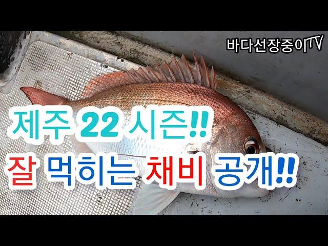 제주 타이라바 22시즌 잘 먹히는 채비 공개, 제주에서 꼭 손맛 보셨으면 좋겠습니다. 나만 따라와 중이어부 - jeju tairubber fishing.