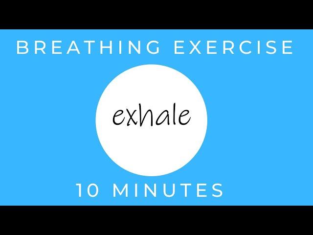 How To Stop a Panic Attack | Breathing Exercises for Stress Relief | TAKE A DEEP BREATH