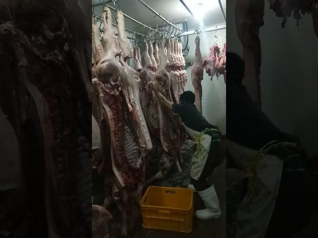 jeffrey martinez the butcher 3