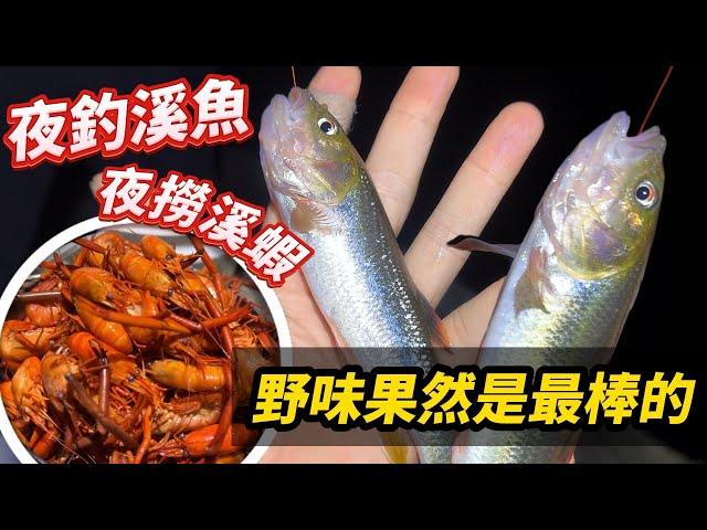 溪蝦系列｜都市人體驗撈溪蝦、夜釣溪魚，不務正業超好玩
