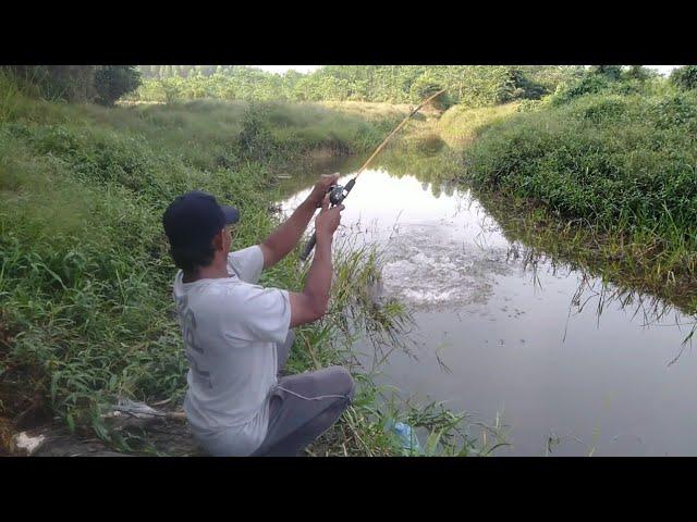 MANCING DI MUSIM KEMARAU IKAN NYA NGUMPULDI SINI SETRIKE TERUS SAMPAI PEGEL !!.