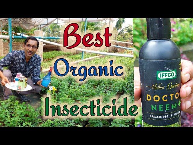 Best Organic insecticide available in the  market