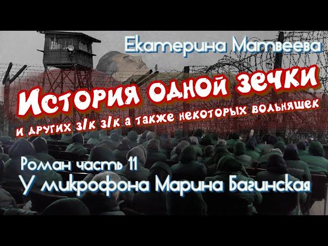 Аудиокнига Екатерина Матвеева "История одной зечки" Роман 11 часть У микрофона Марина Багинская