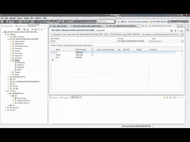 SAP HANA Training Video