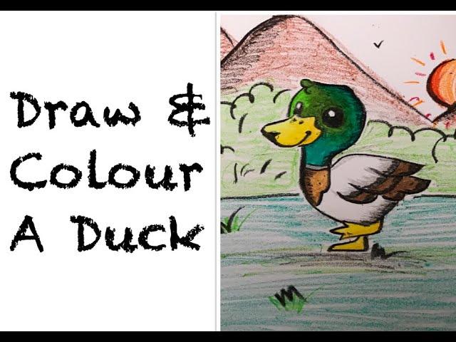 Draw & Colour a Duck | How to Draw a Duck? | SimpleSigns