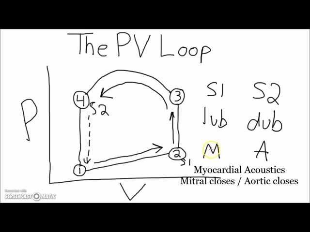 Physiology - PV Loop and Heart Sounds in 5 Minutes