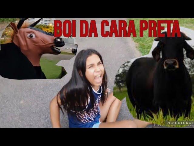 BOI DA CARA PRETA  12