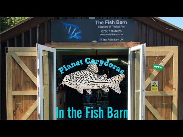 The Fish Barn.. Amazing Fish!