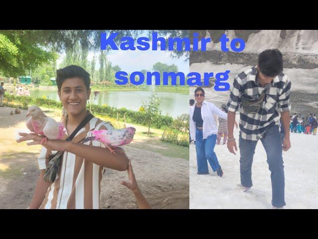 Kashmir(Srinagar) to sonmarg // Kashmir series part 03 // saksham sharma