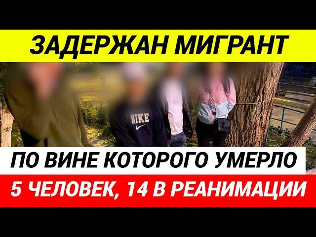 По вине  МИГРАНТА ПОГИБЛО 5 ЧЕЛОВЕК