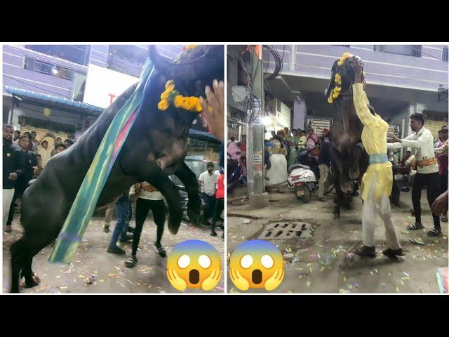 Khairathabad Sadar 2022 | Sadar Festival 2022 | Hyderabad Sadar Festival 2022 | Madhu Yadav Sadar