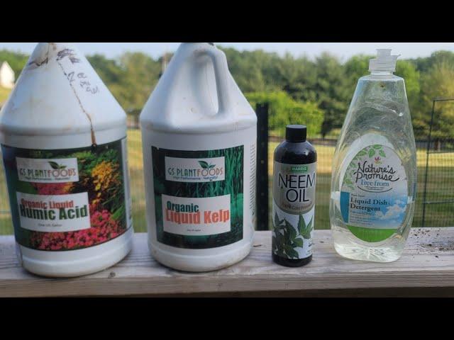 Foliar Feeding for Fertilization, Disease, and Pest Control.