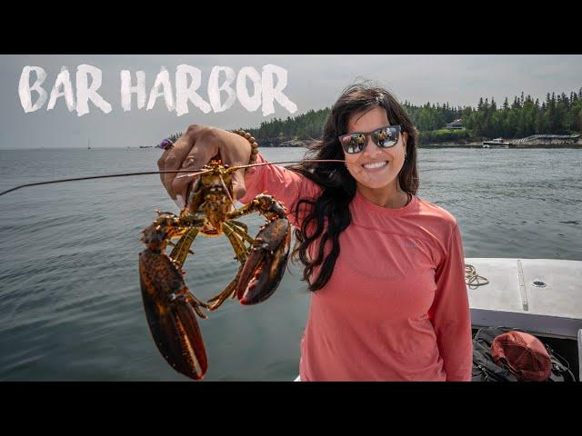 Why Bar Harbor is a must see in Maine and the beautiful Acadia National Park