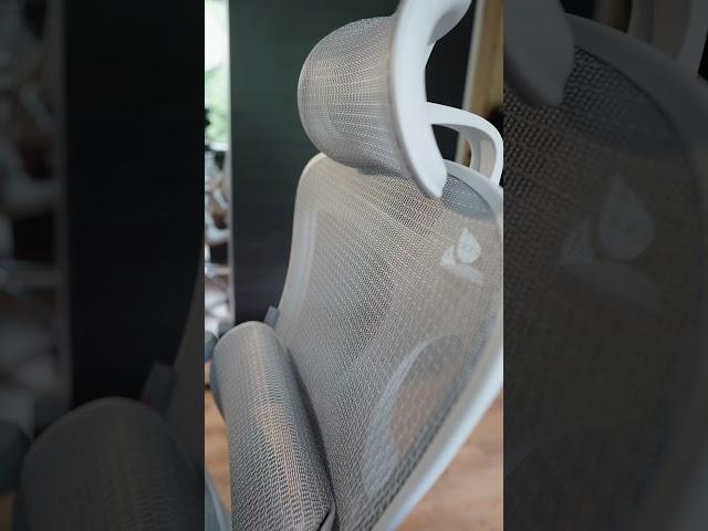 The SIHOO  Doro-C300 chair has quickly become a setup favorite