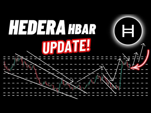 Hedera (HBAR) Crypto Coin Update!