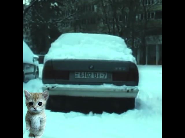 #бмв #любитель #тяжелаяжизньстарыхбмв #легенда #бмве34
