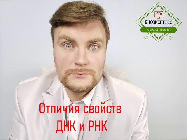 Отличия свойств ДНК и РНК. ЕГЭ Биология. ЕГЭ 2022.