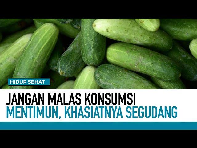 Jangan Malas Konsumsi Mentimun, Khasiatnya Segudang | Hidup Sehat