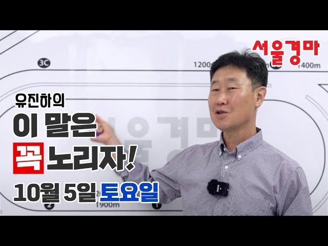 유진하의 이 말은 꼭 노리자!(2024년 10월 5일 토요일)