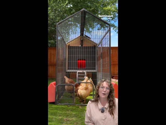 Smart Coop is a Smart Chicken Coop for Beginners | TechCrunch