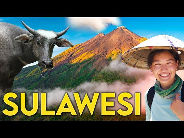 SULAWESI 30 DAYS - Indonesia's Mysterious Island 