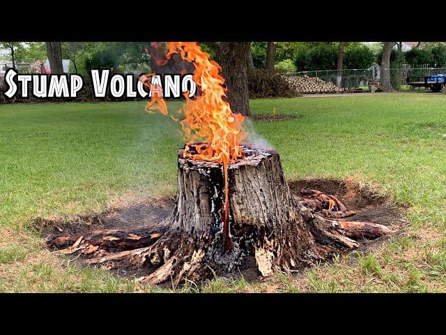 Stump VolcanoUsing Cooking Oil!