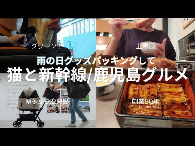 【雨の日グッズパッキング】猫と新幹線グリーン車 / 鹿児島ひとり旅おすすめグルメ(猫抜歯に関しては概要欄へ)