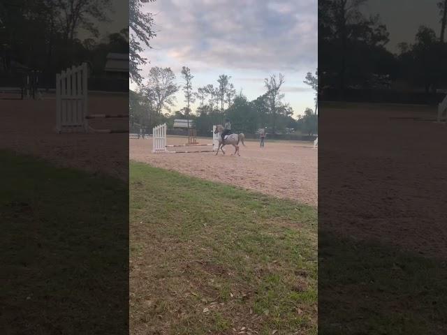 My first ever lesson on Fergie in October. I had so much fun Fergie IS my heart horse I love her so.