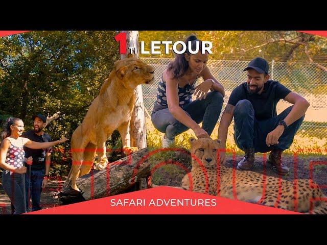 1 ti Letour - Safari Adventures