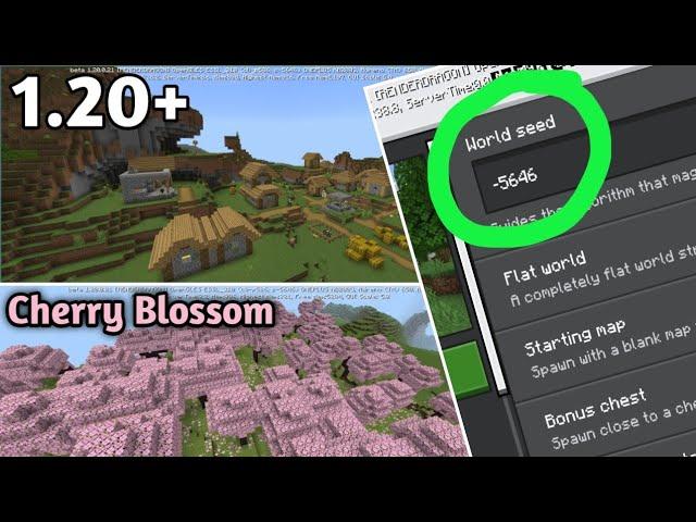 Minecraft Huge Village And Cherry Blossom Biome Seed