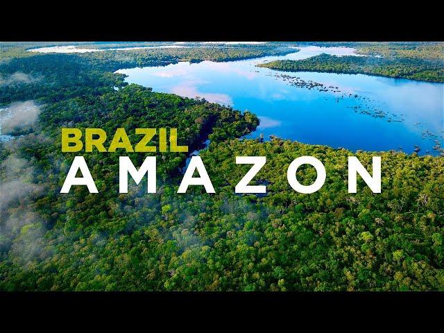 AMAZON, BRAZIL: Piranhas, monkeys and DOLPHINS in World's Best Jungle