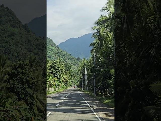 #buhayprobinsya #touristspot #naturevibes #baler #auroraprovince #roadtrip2024 #pilipinas #kalikasan