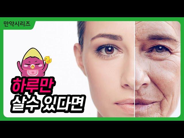  만약 우리가 하루 밖에 살지 못한다면? (feat. 하루살이)